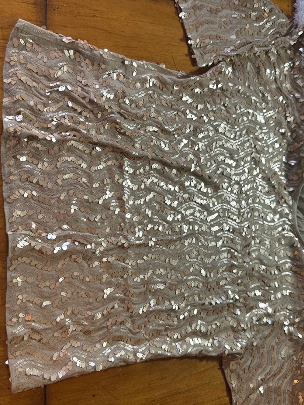Reba Sequin Silver Top